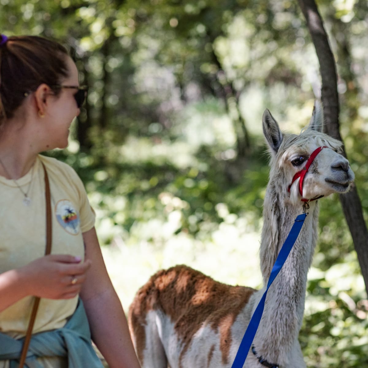 Book early for your summer vacation!