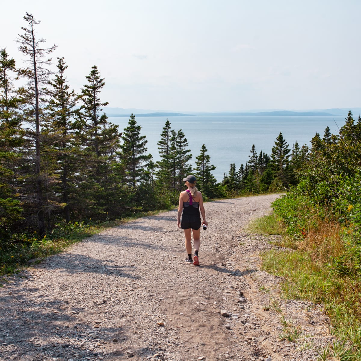 Book early for your summer vacation!