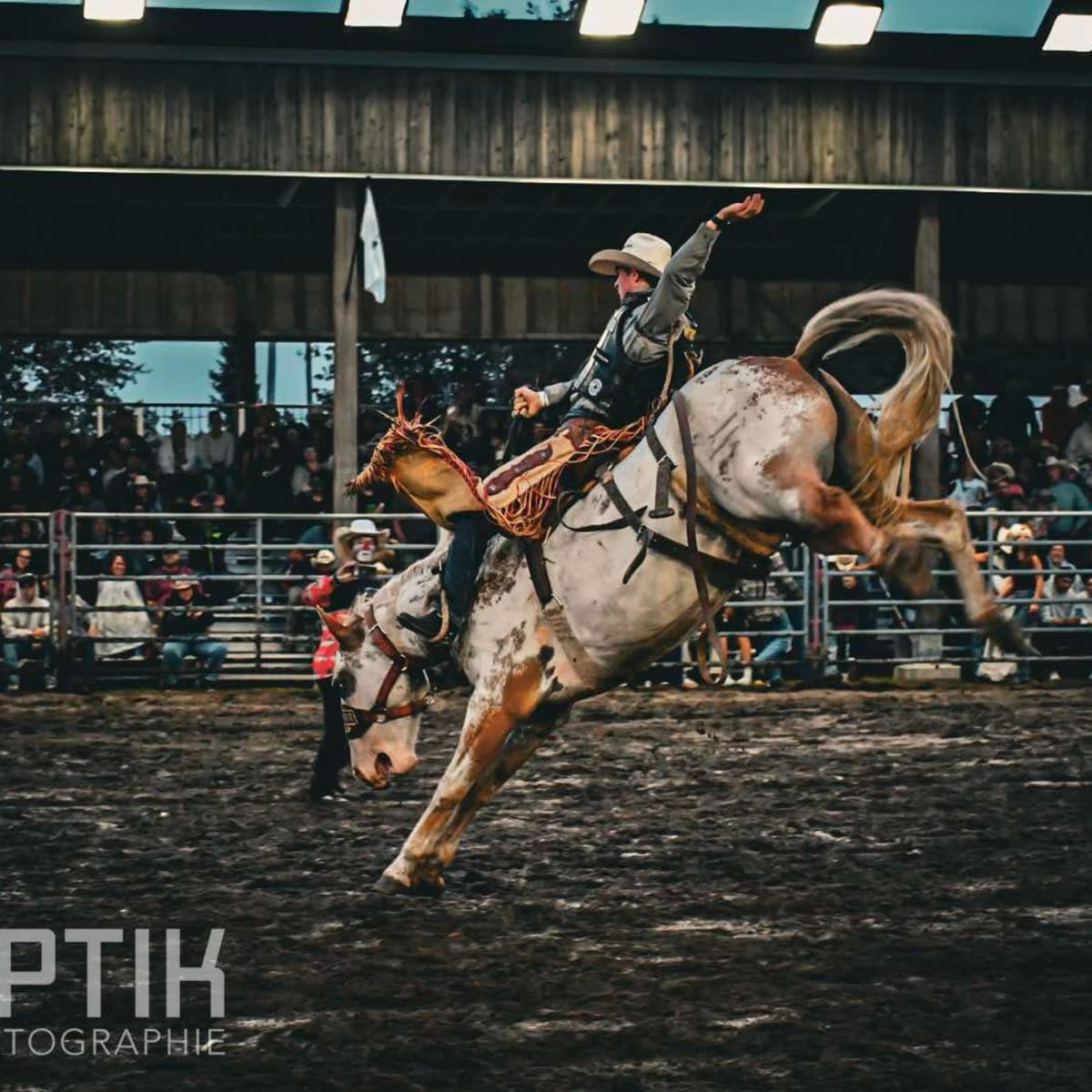Equestrian rodeo