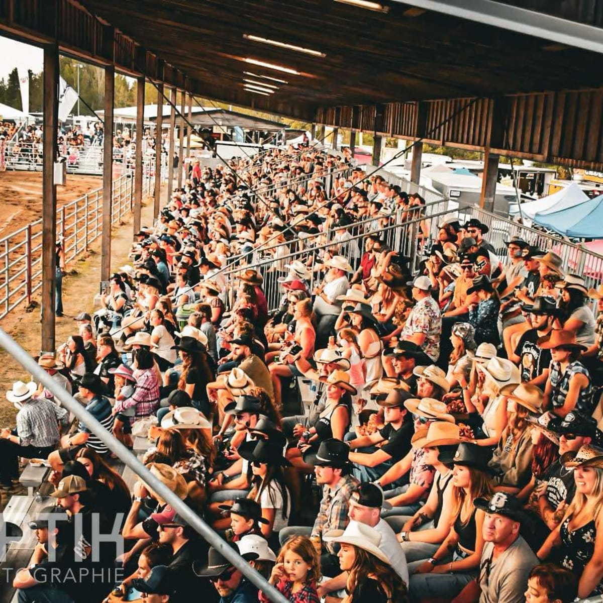Spectators at a rodeo