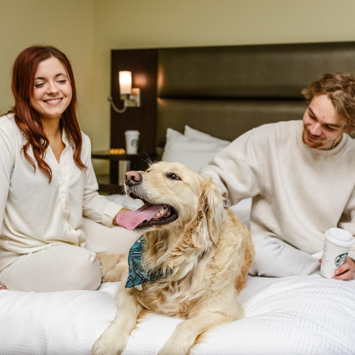 Couple assis sur un lit avec un chien à l'Hôtel Levesque