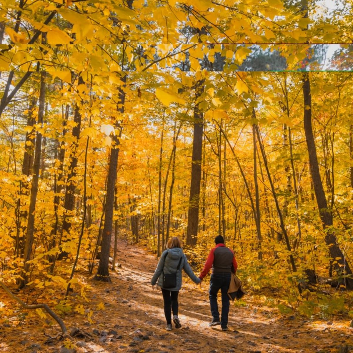Hiking in Montérégie.