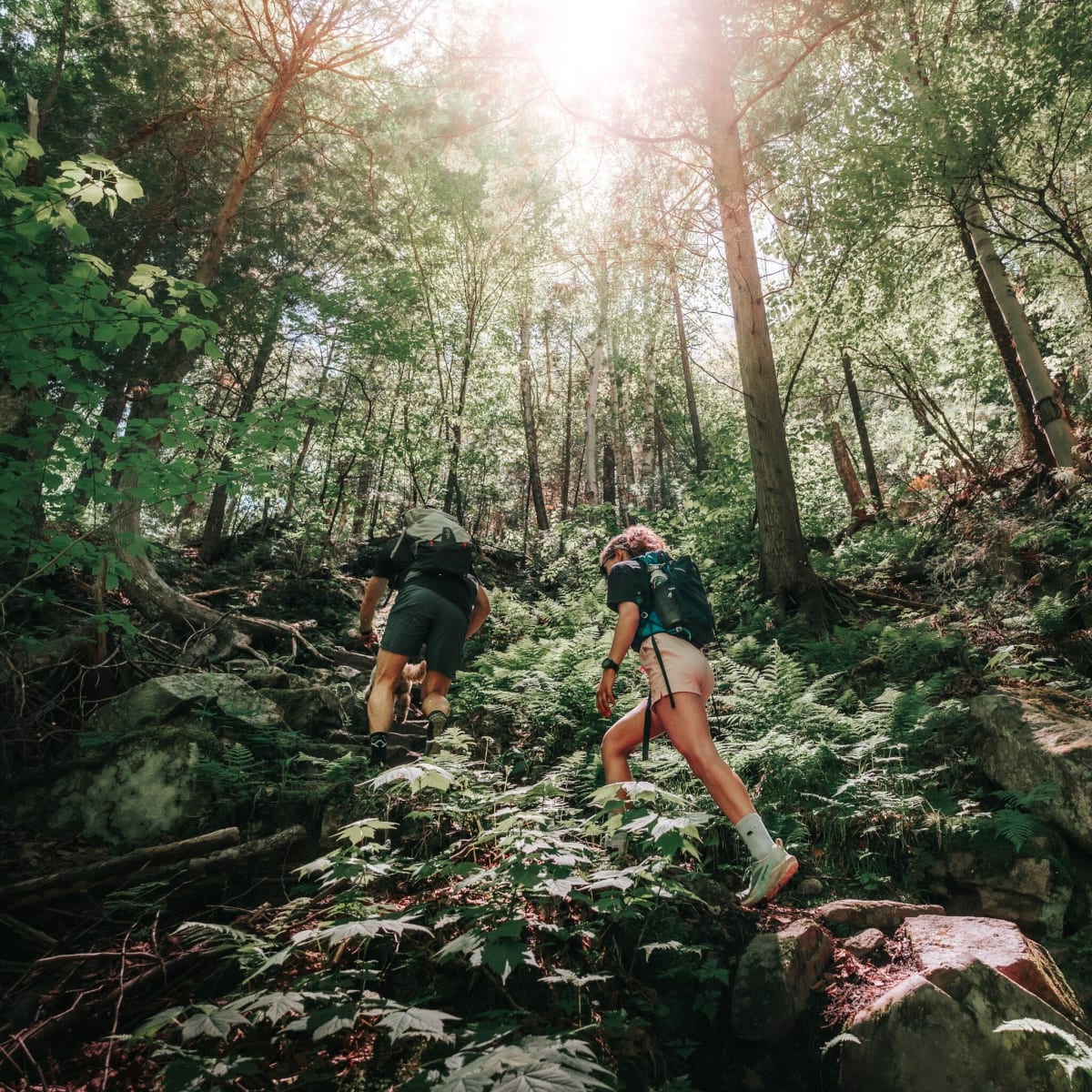 Two hikers on a mountain.