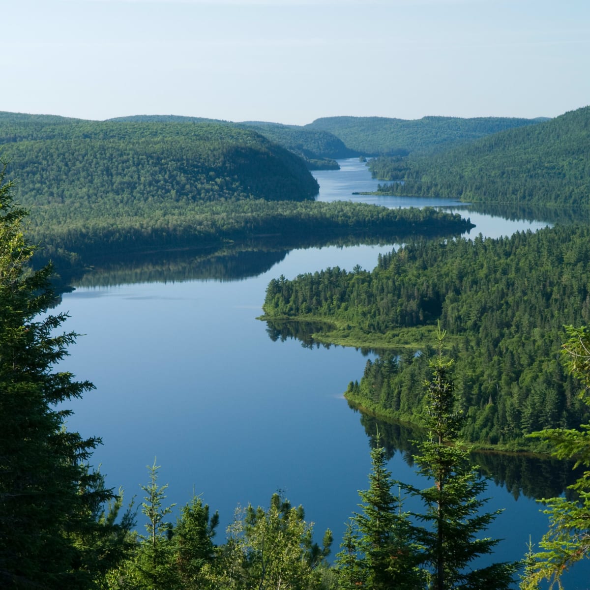 Bird's eye view of a body of water surrounded by dense forests.