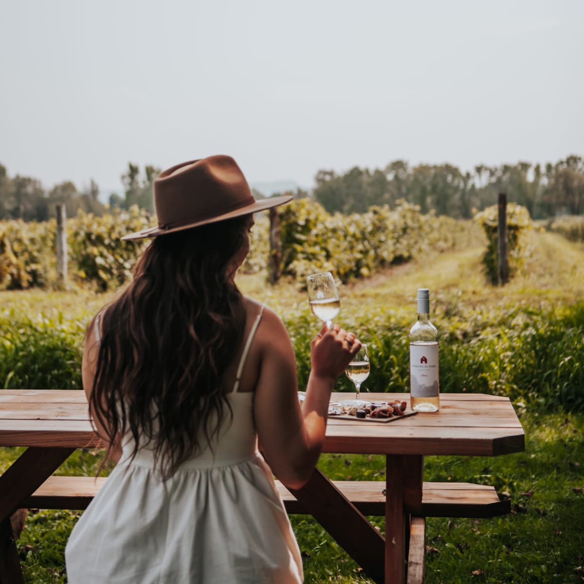 Woman drinking wine in a vineyard.