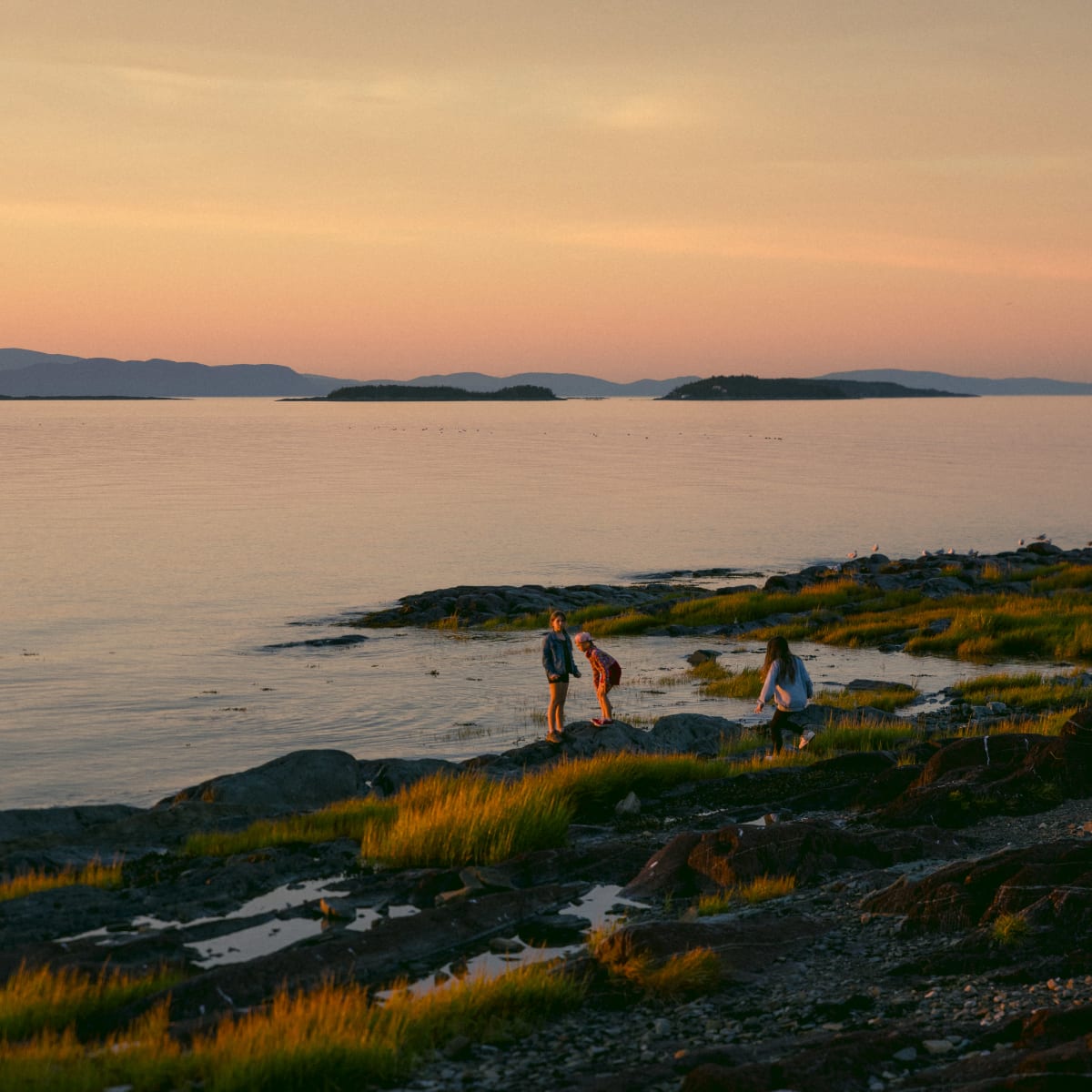 Three children at the water's edge at sunset.