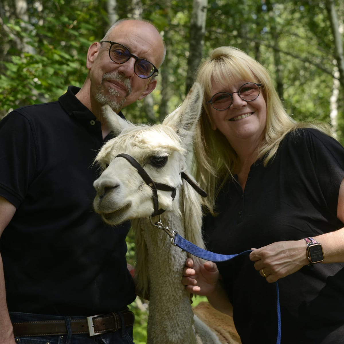 Alpagas du Domaine Poissant - A man, a woman and an alpaca