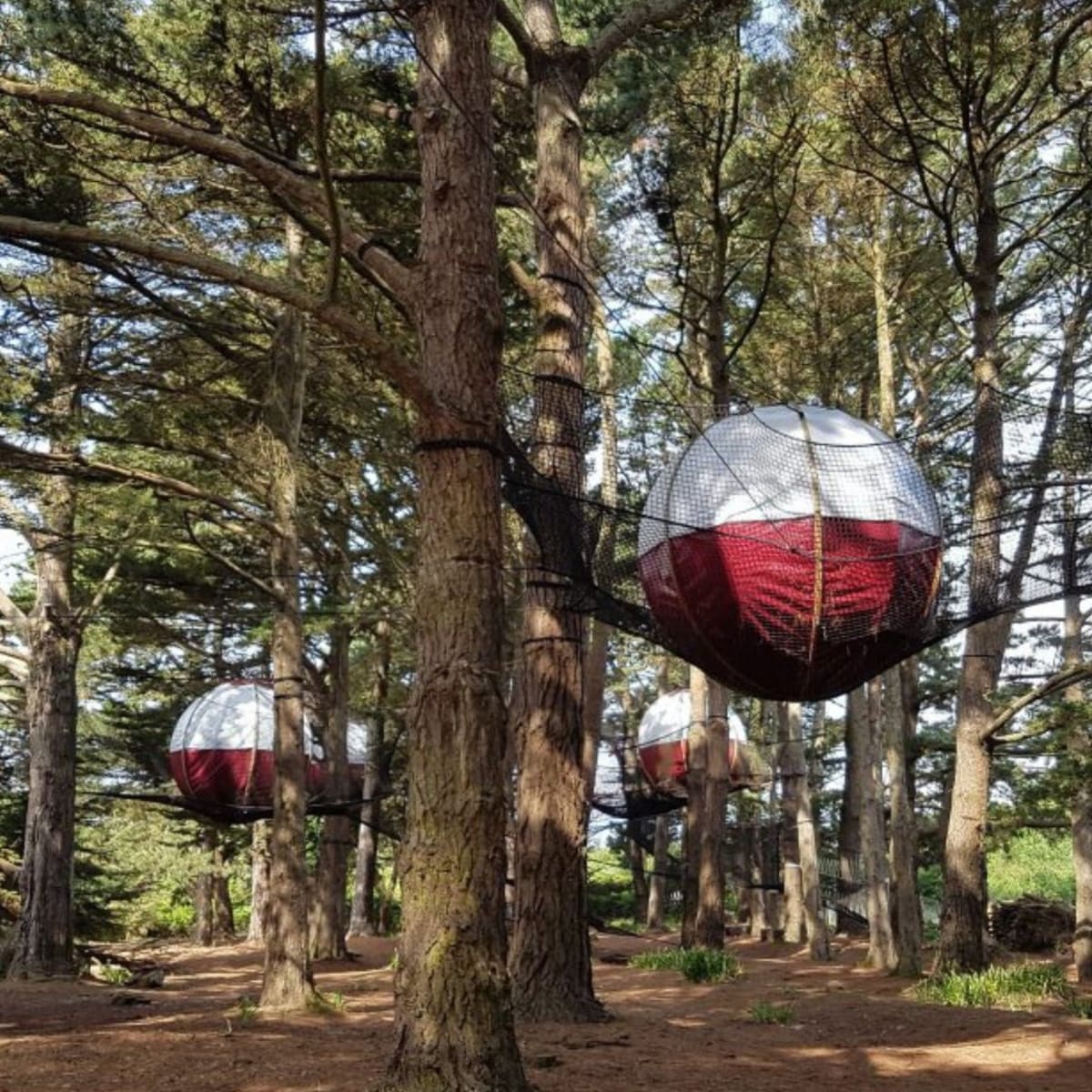 Spherical tents suspended in trees.
