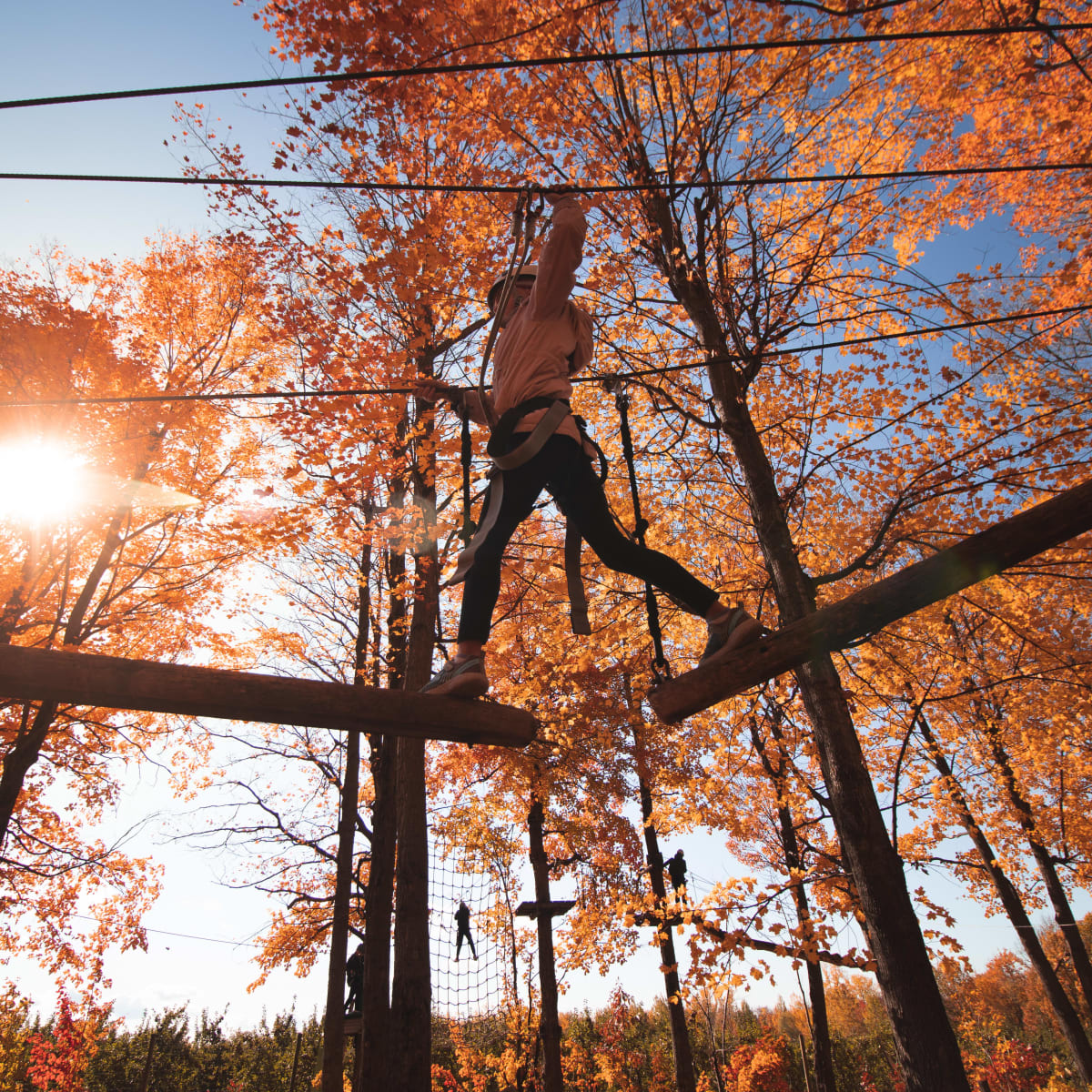 Arbraska Mont-Saint-Grégoire.