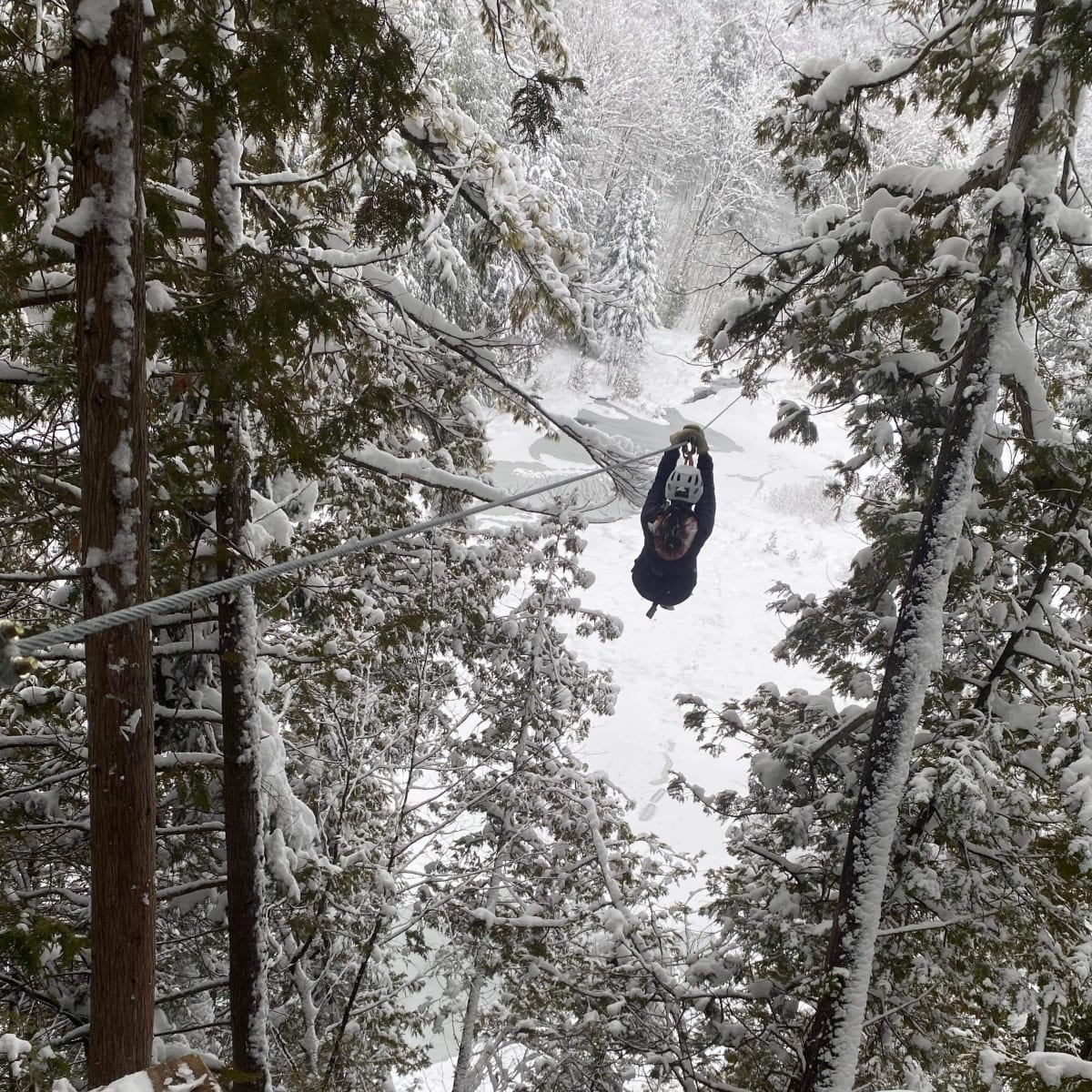 Arbraska Mont-Saint-Grégoire.