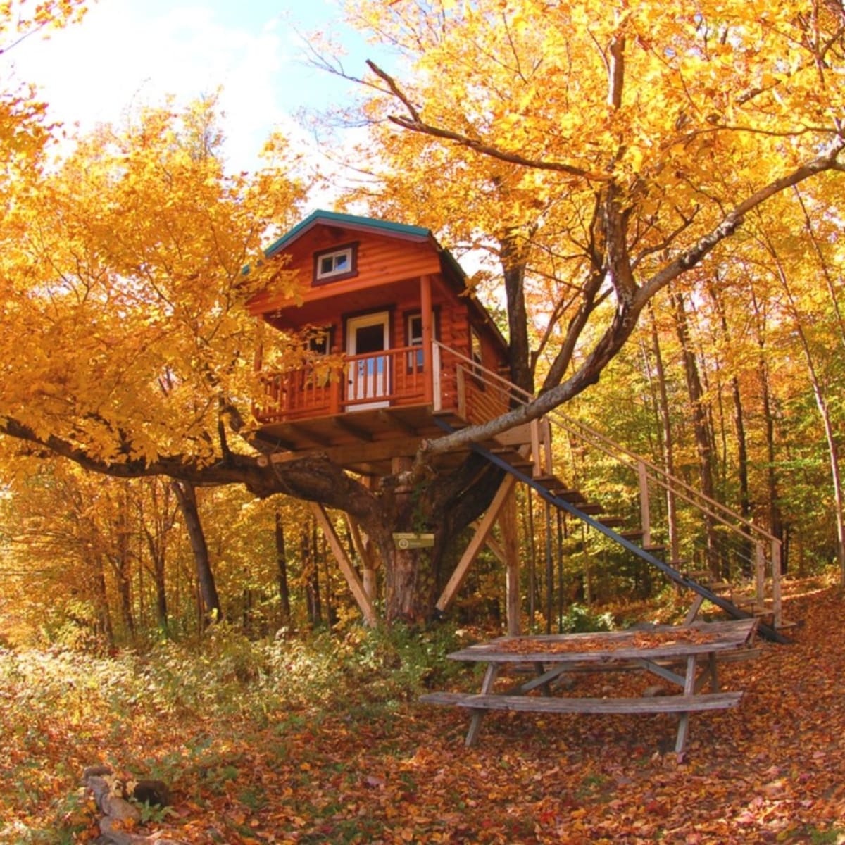 Treehouse at fall.