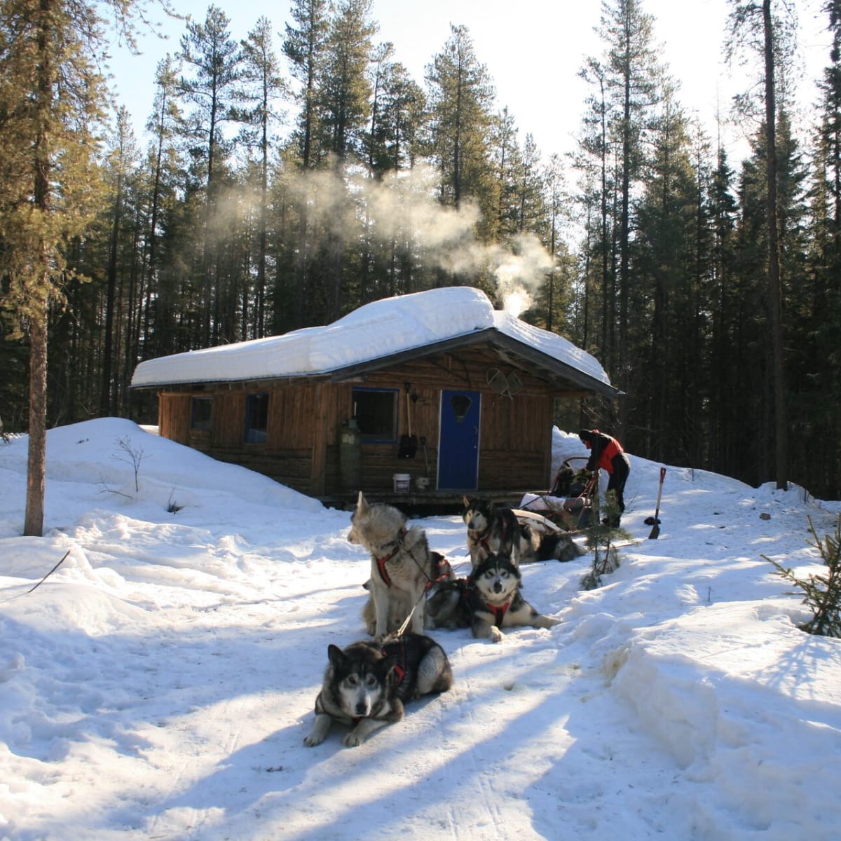 Traîneau à chiens à Aventuraid/Parc Mahikan.