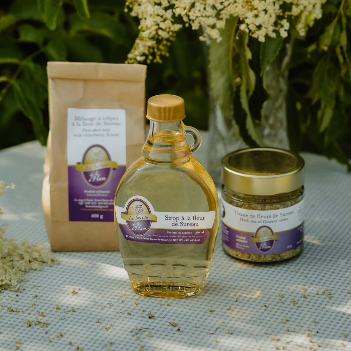 Elderberry - La Balade Gourmande.