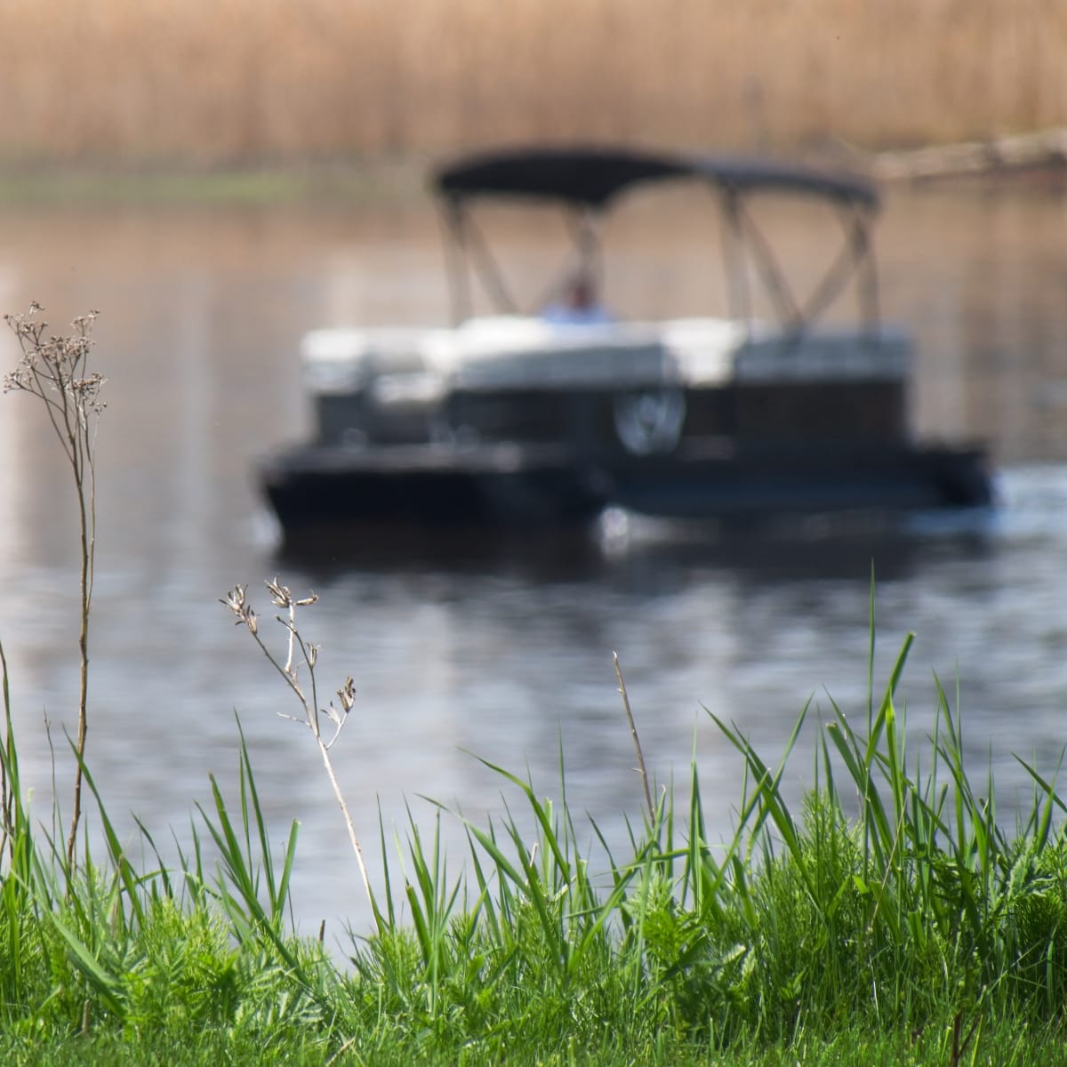 Grass and pontoon in the water, Base nautique de Repentigny.