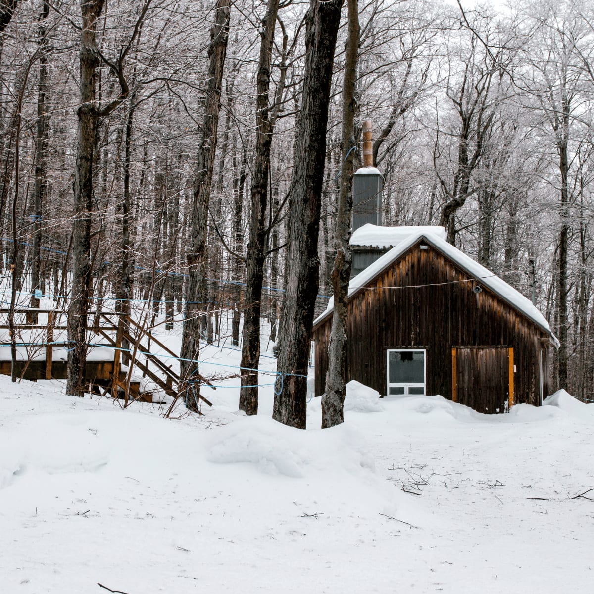 Cabane à sucre Le Relais des Pins