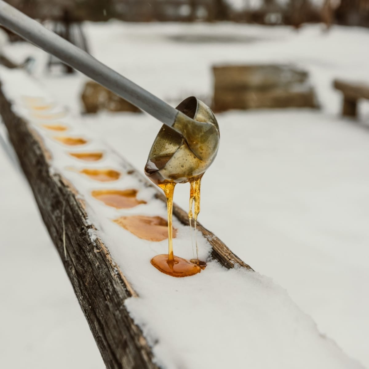 Maple syrup at Cabane à sucres Les Rondins.