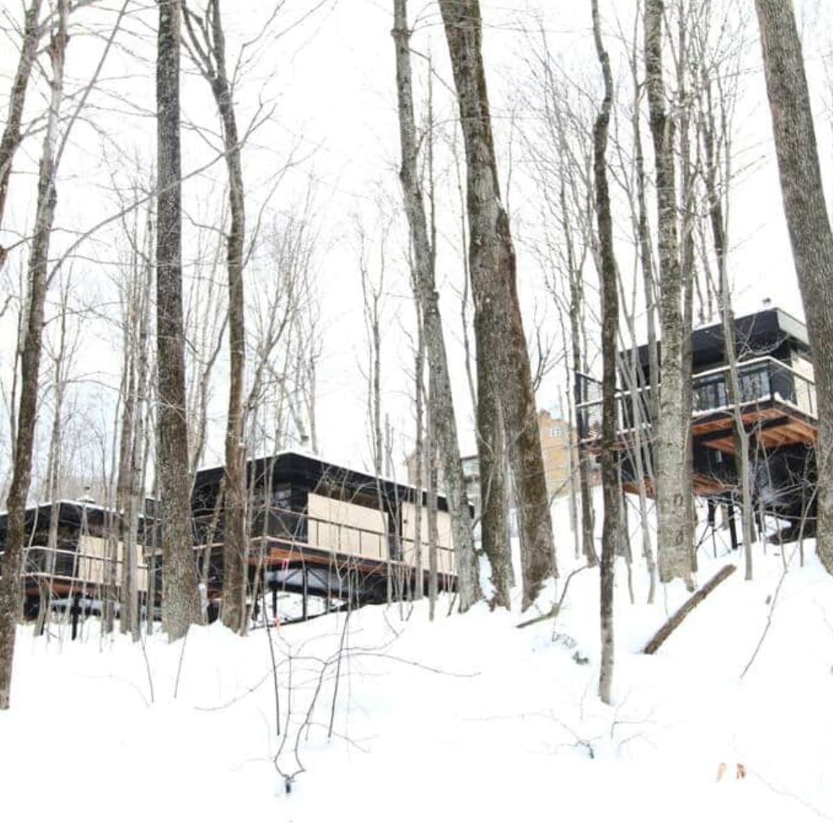 Cabins of cabin Sutton in winter.