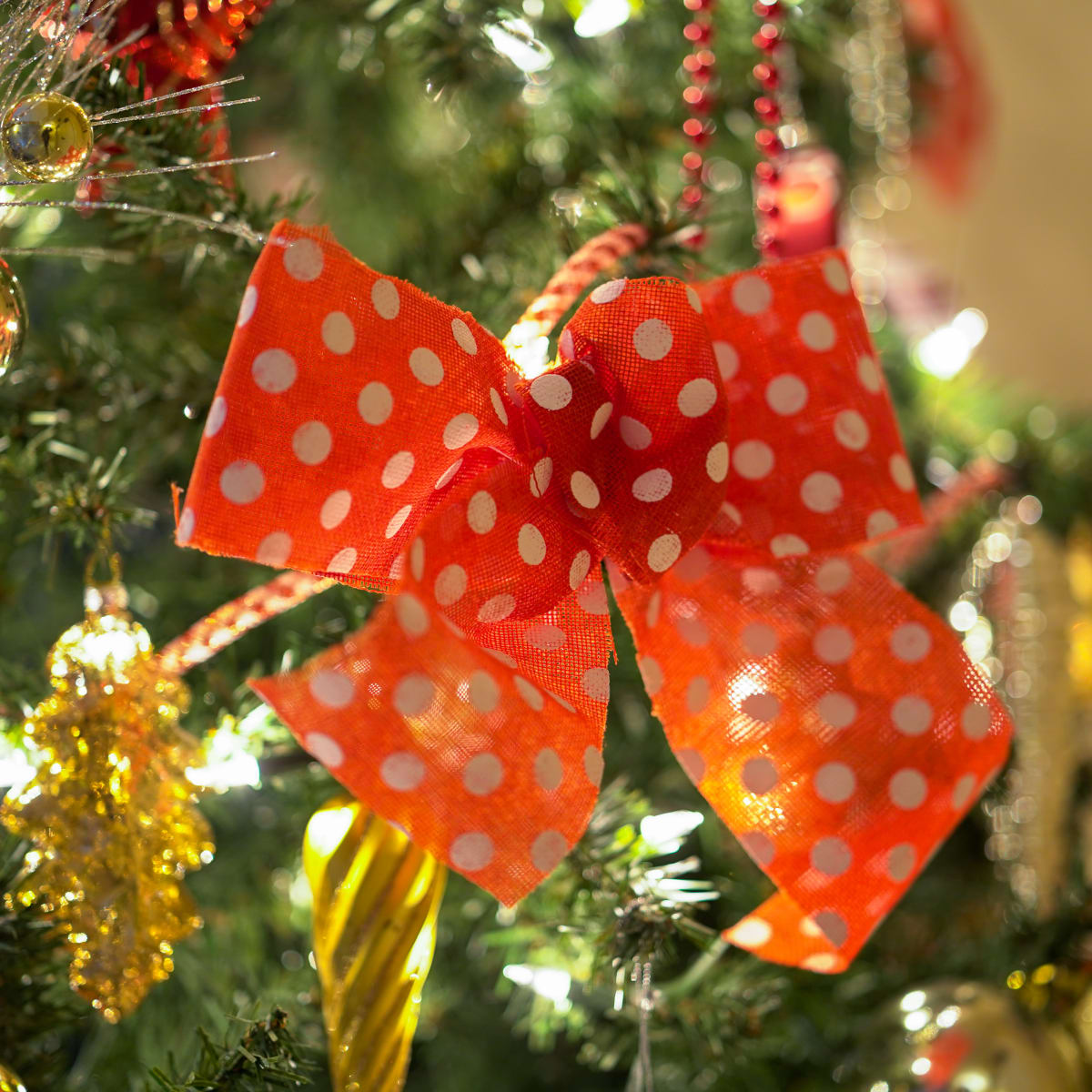 Bow in a Christmas tree.