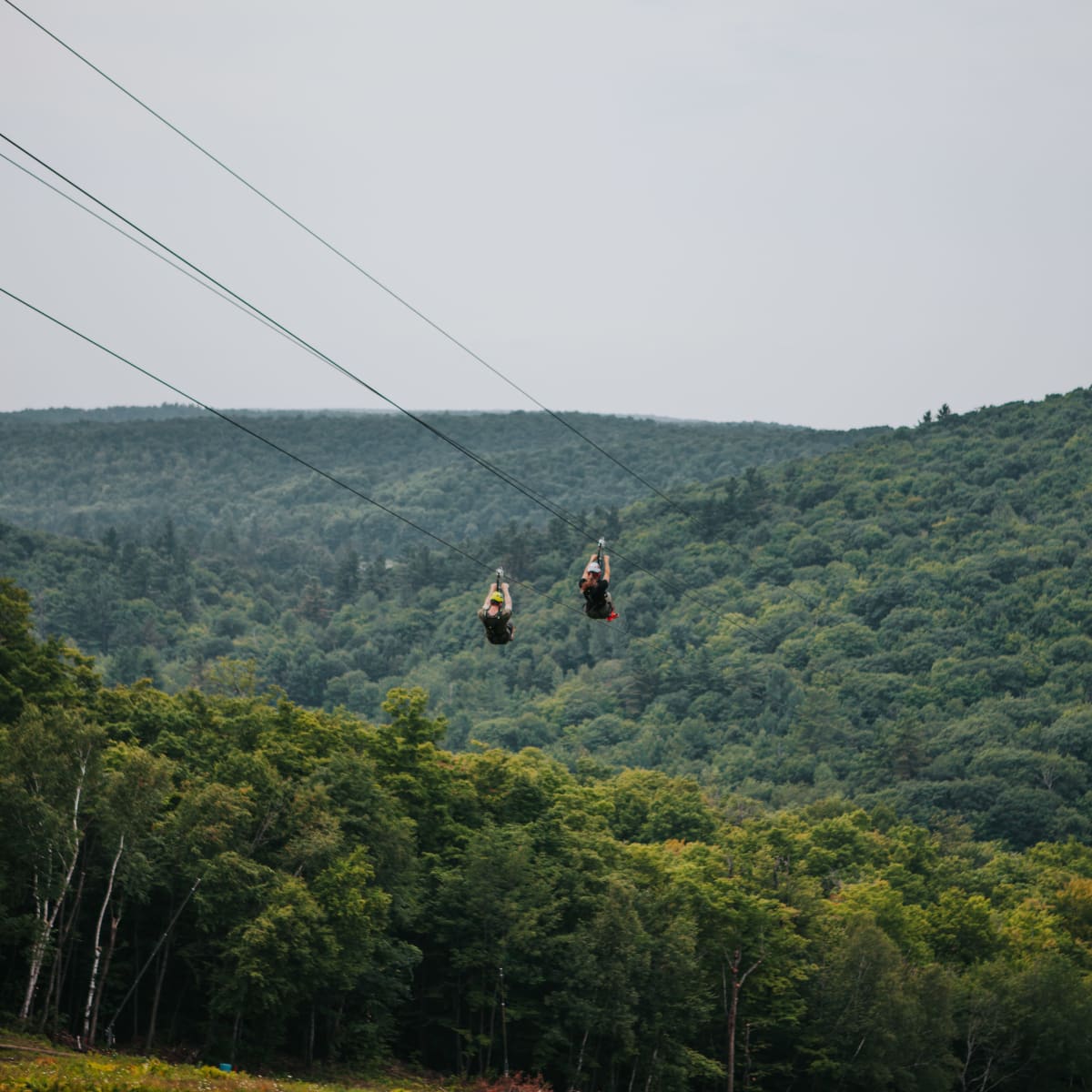 Two people on a zip line in the summer.