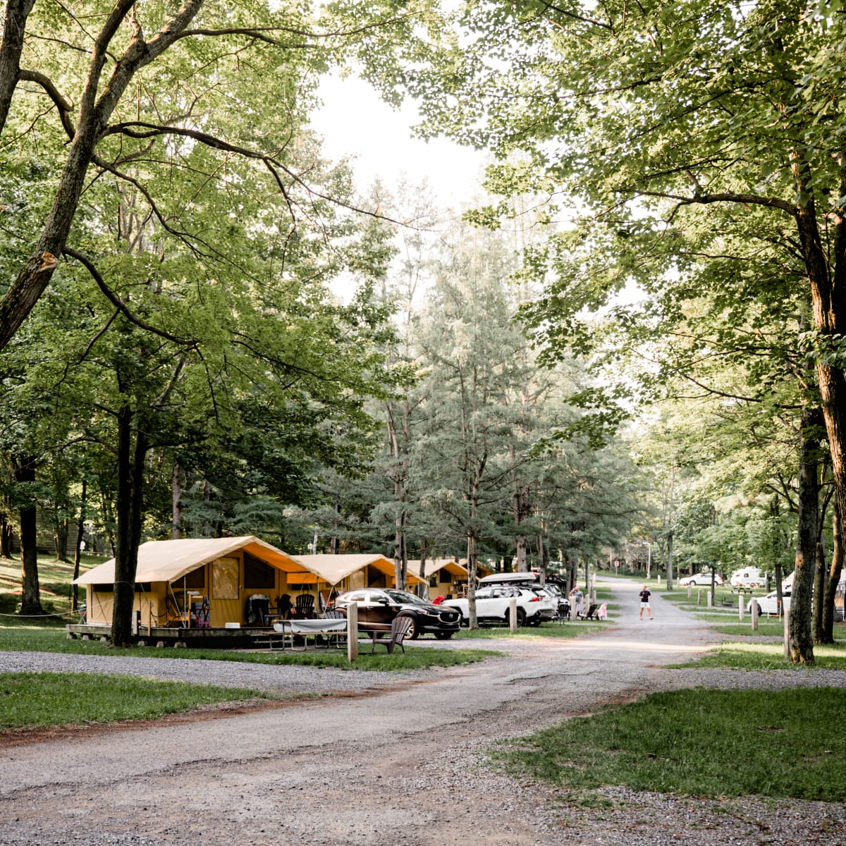 Ready-to-camp stay at Camping des Voltigeurs
