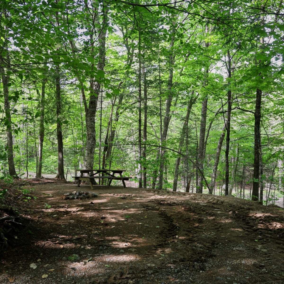 Sommet Morin Heights’ Camping and Cabins