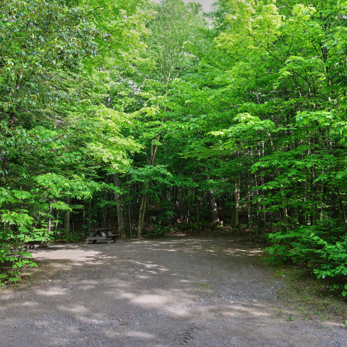 Sommet Morin Heights’ Camping and Cabins