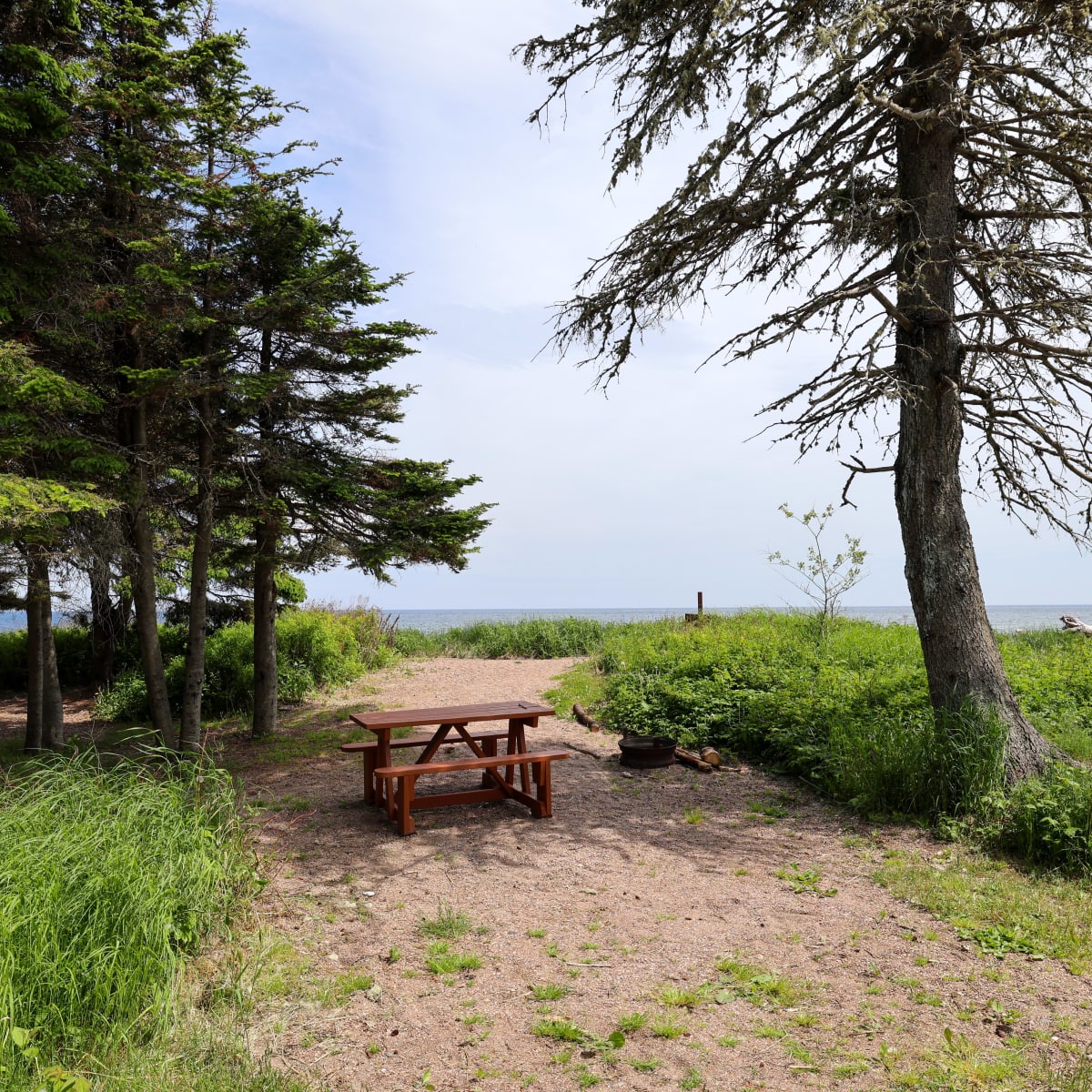 Camping Napaga