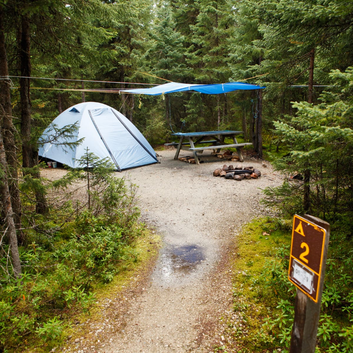 Camping rustique au Parc national des Grands-Jardins.
