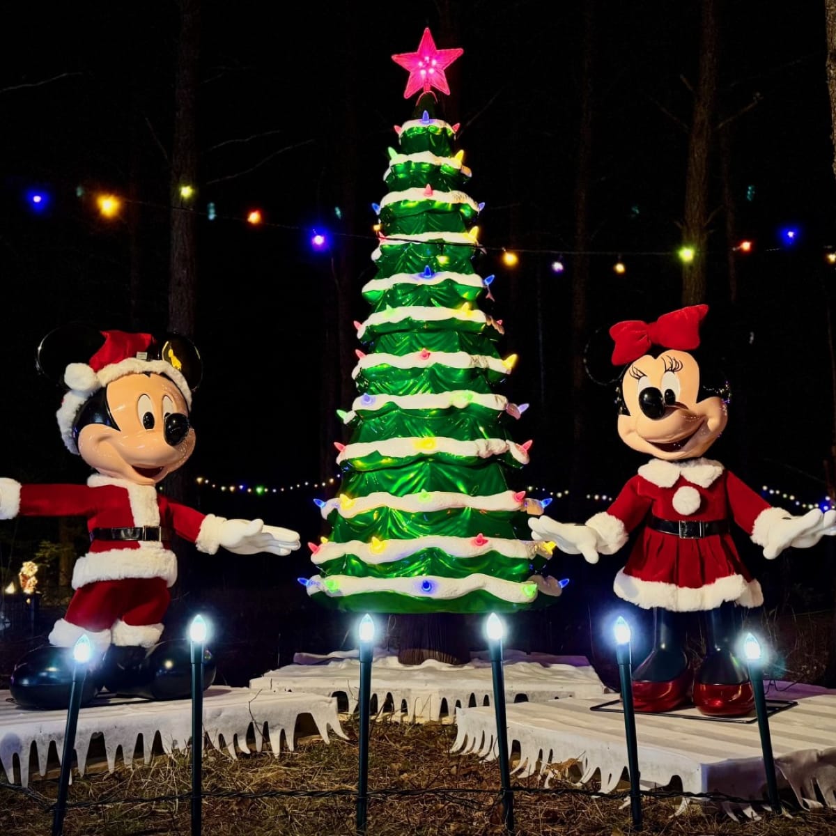 Celebrate the magic of the holidays in Petite Nation