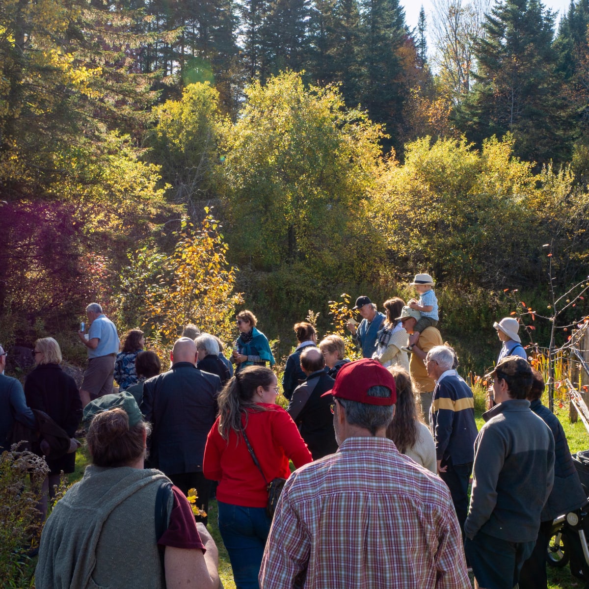 Centre de création et de diffusion de Malvina.