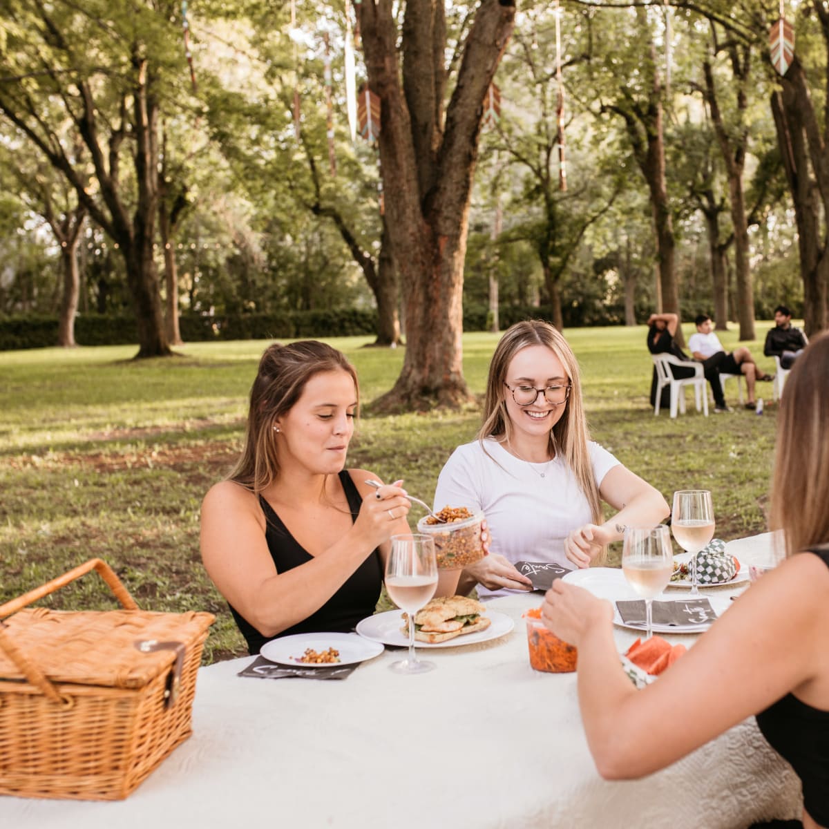 Four women on a picnic.  