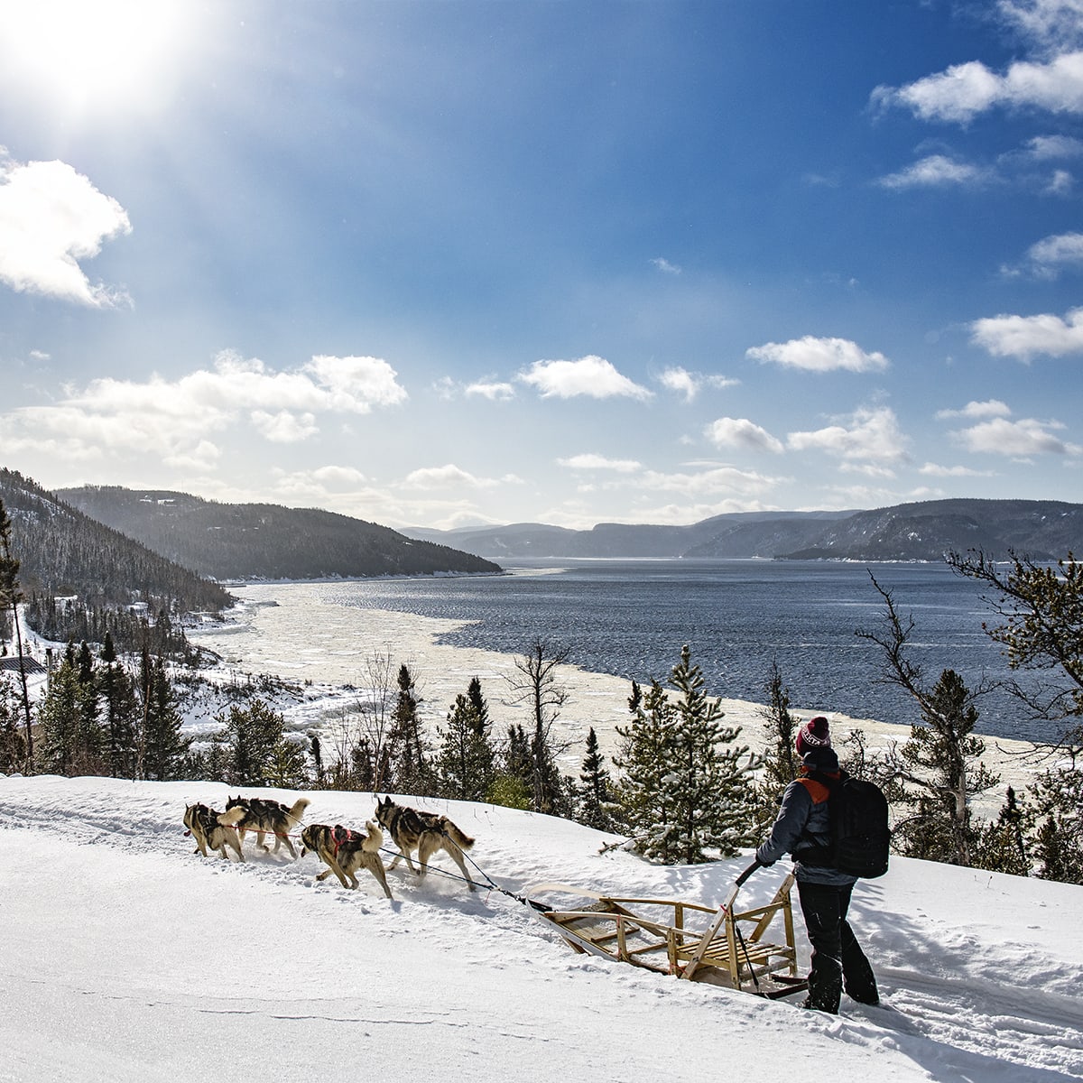 Traineau à chiens au bord du fleuve.