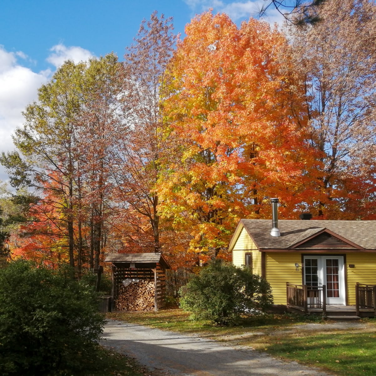 Centre de Villégiature Jouvence