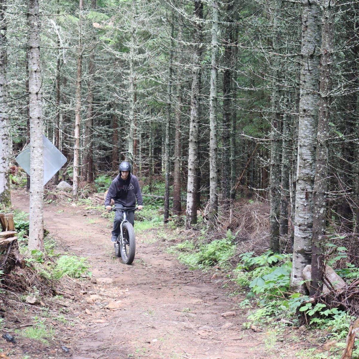Centre récréotouristique des Hautes Terres - Un individu fait du fatbike dans une forêt