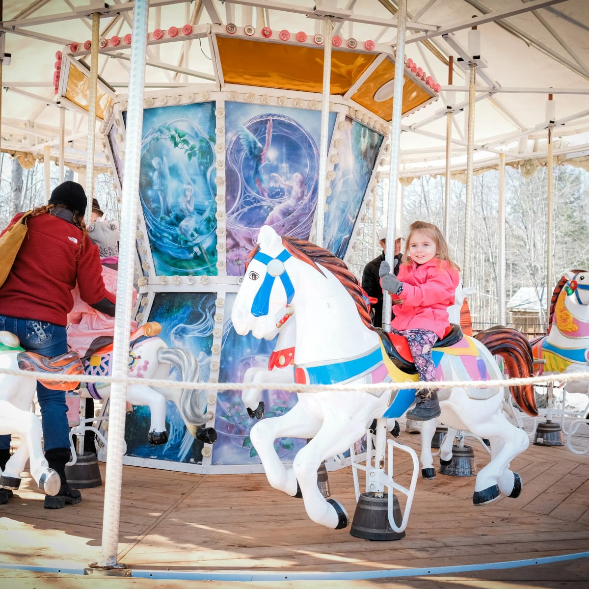 Carousel at the Chalet des Érables.