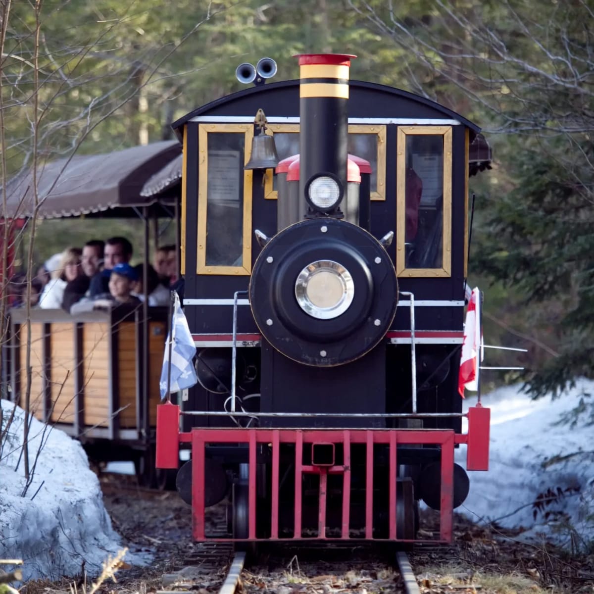 Train to Chalet des Érables.
