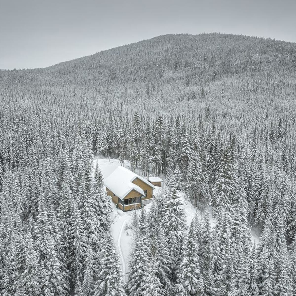 Chalet en forêt à la Réserve faunique des Laurentides, l'hiver.