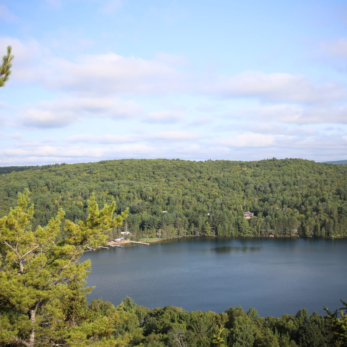 Lake in the center o9f a forest.