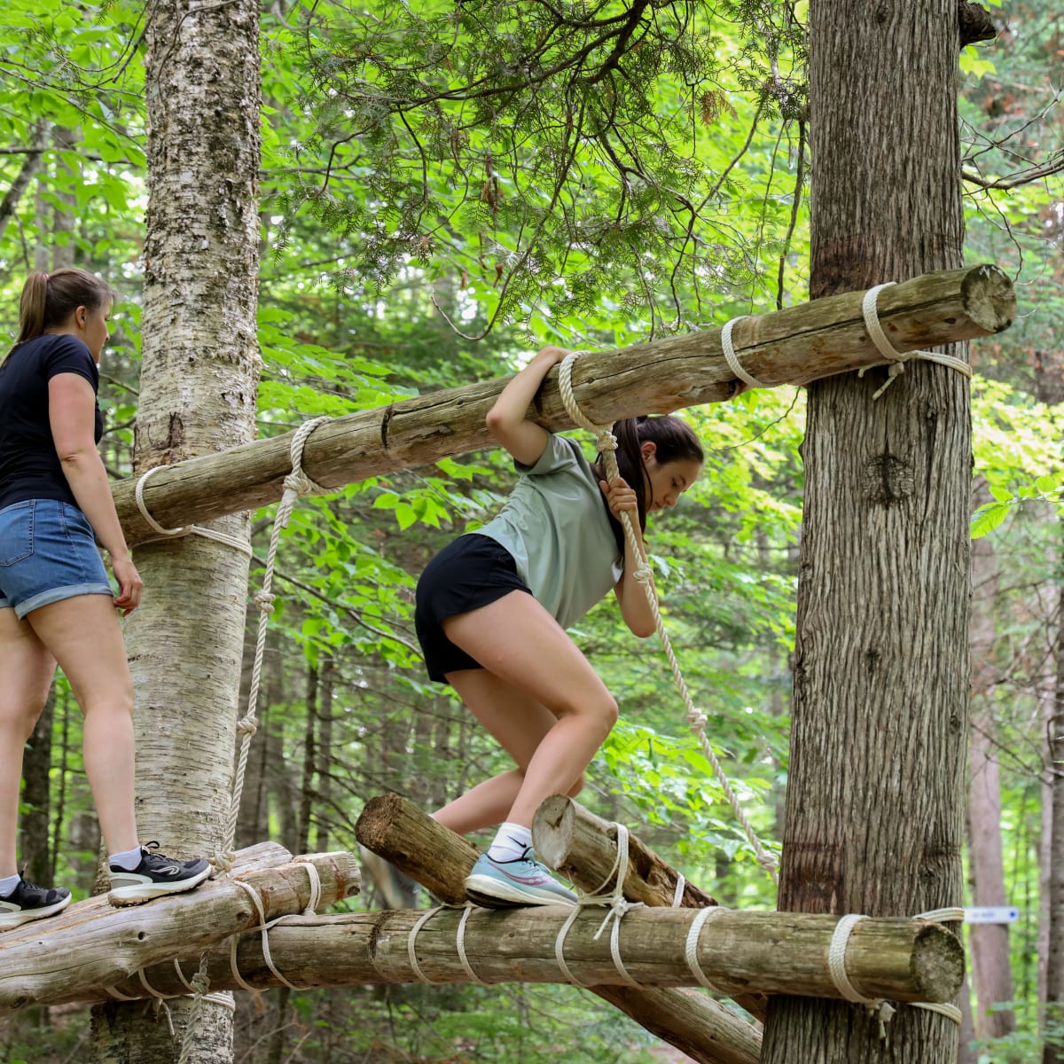 Tree parcour.