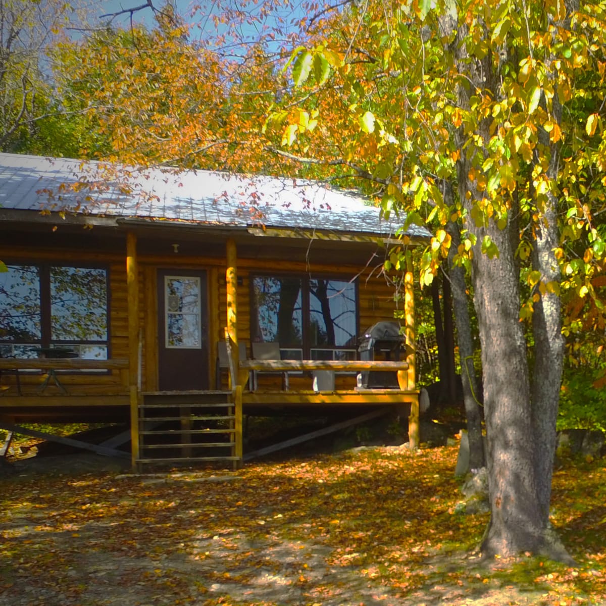 Chalets Rapide des Cèdres