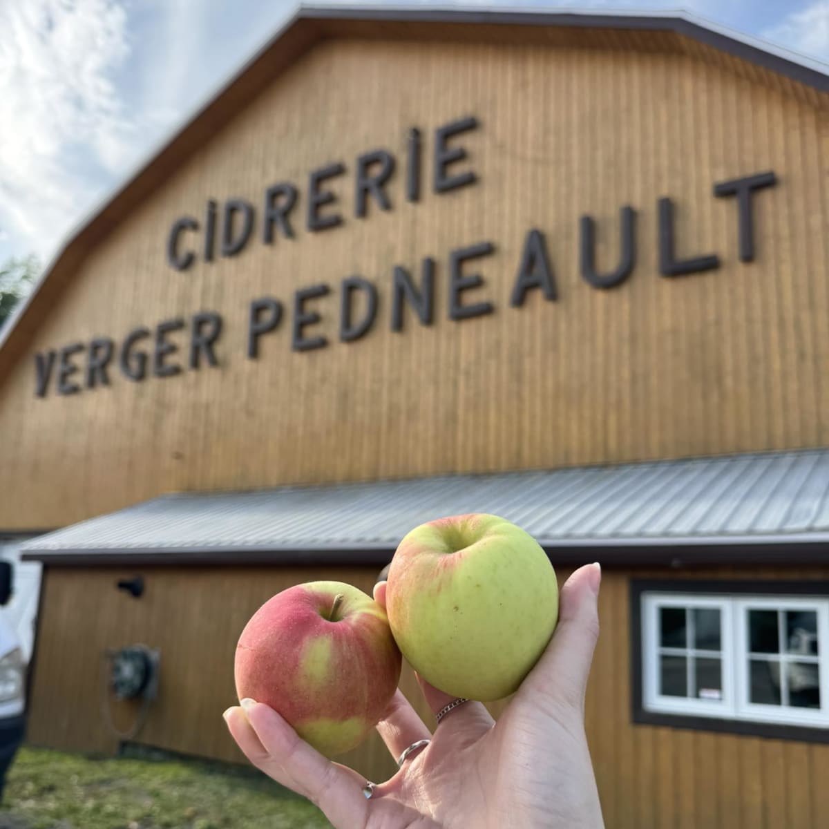 Main tenant des pommes devant la façade de la cidrerie. 