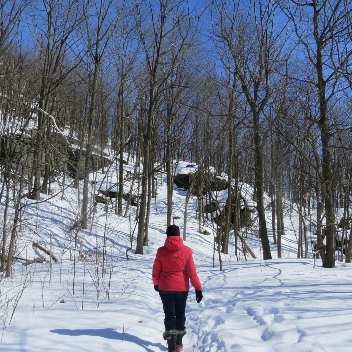 walker on a snowy trail.