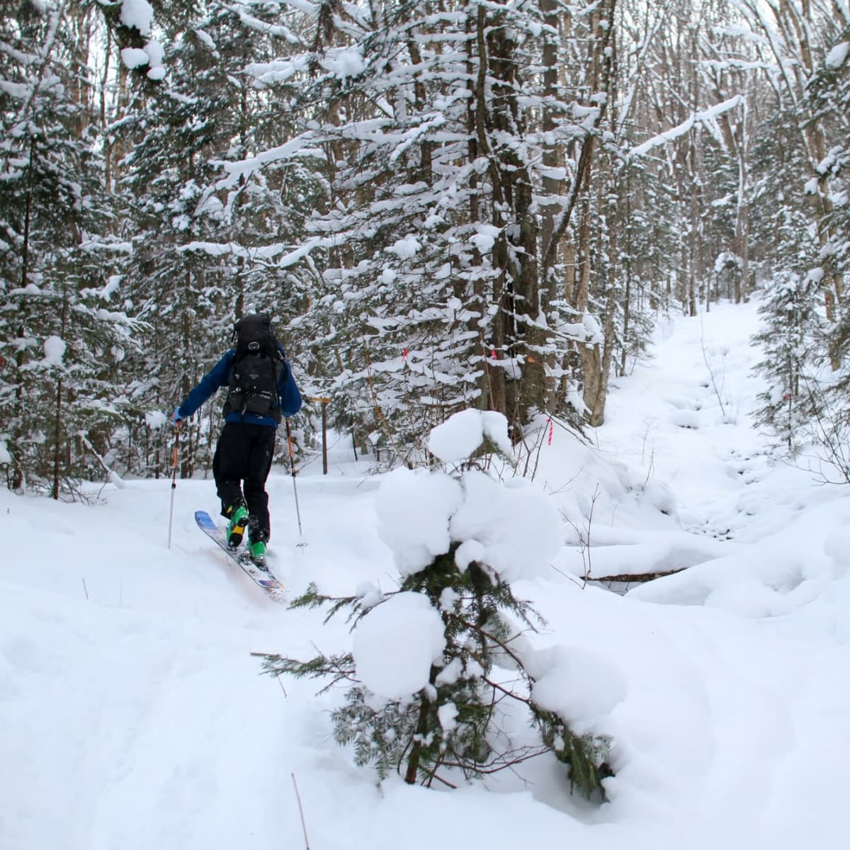 ski touring.