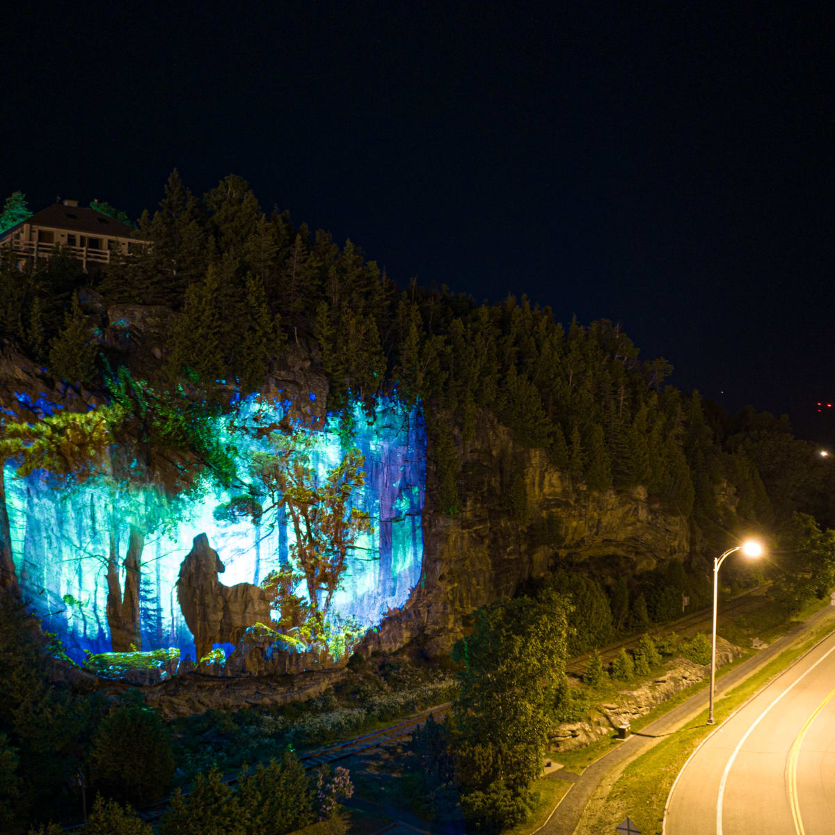 Cité Mémoire - A luminous projection on a rock wall of a forest scene and the silhouette of a wolf , at night.