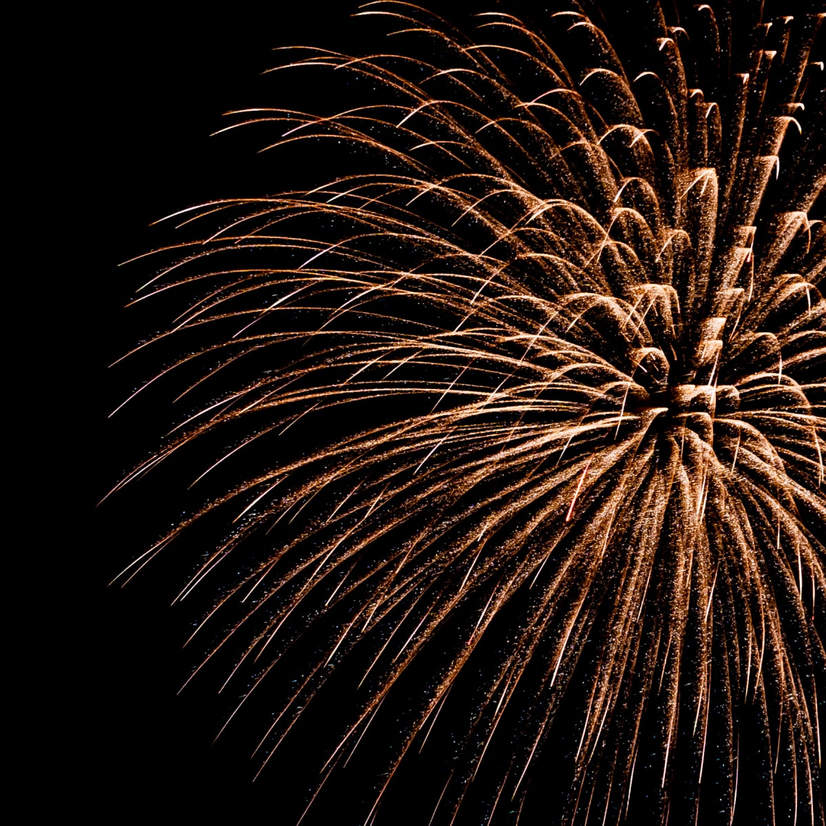 Fireworks.