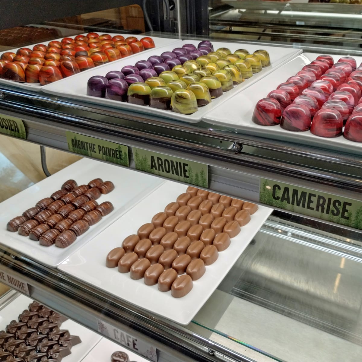 Fine boreal chocolates