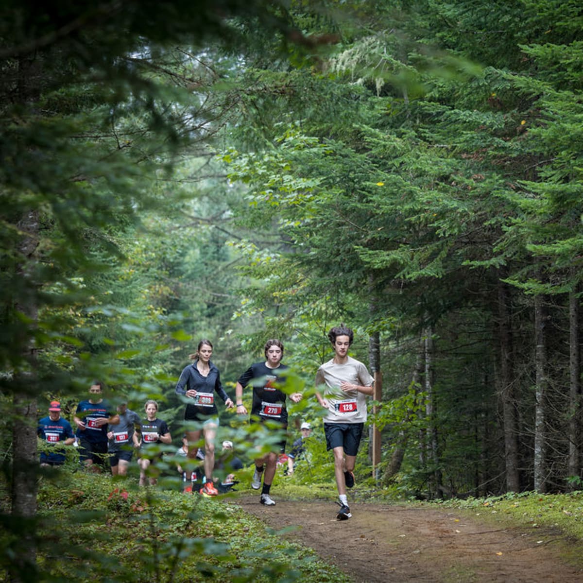 Cross-country running at Défis du Parc.