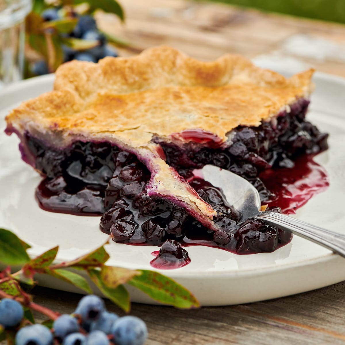 Tarte aux bleuets.