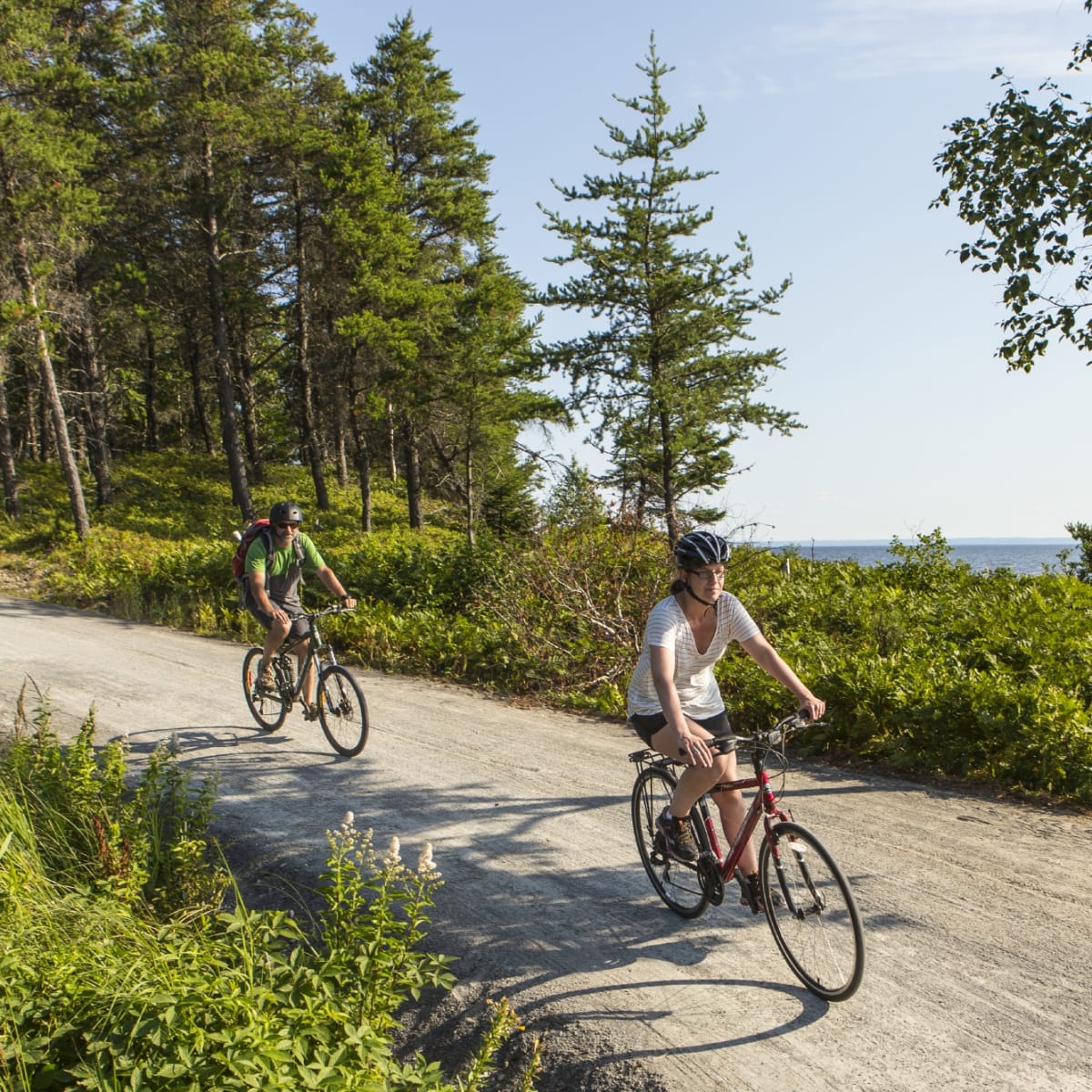 Two cyclists on a gravel bike path surrounded by greenery.