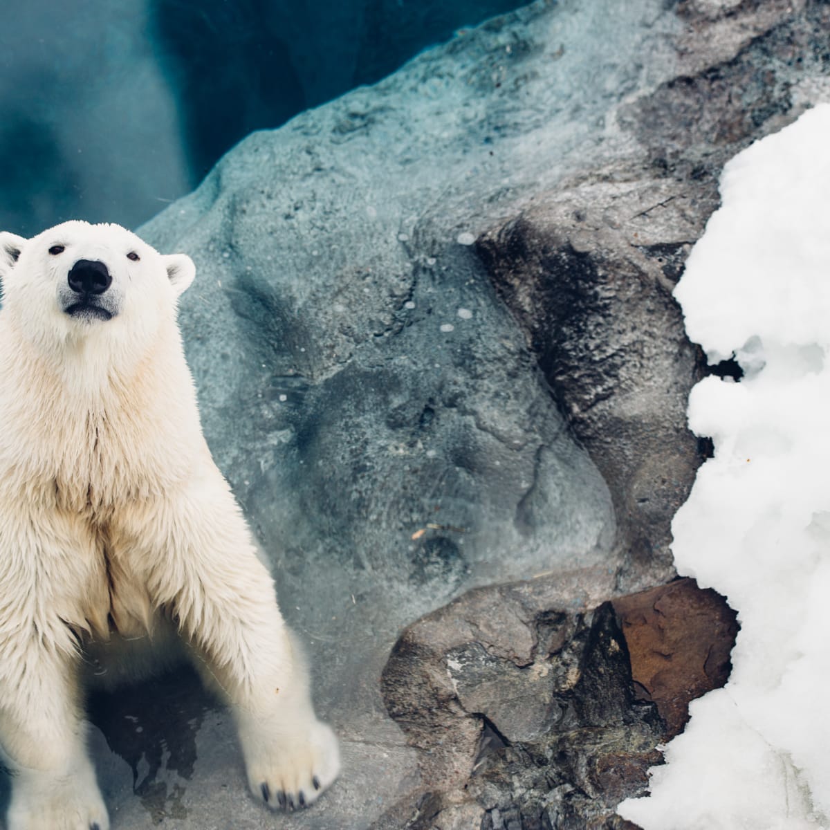 Destination Lac-Saint-Jean